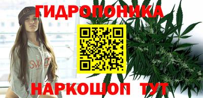 Альфа ПВП Брянск