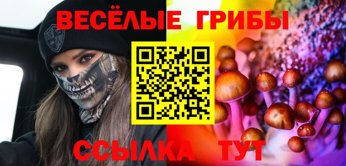 Вязники  как найти закладки  Вход с VPN  Псилоцибиновые грибы ЛСД  Галлюциногенные грибы GOLDEN TEACHER 